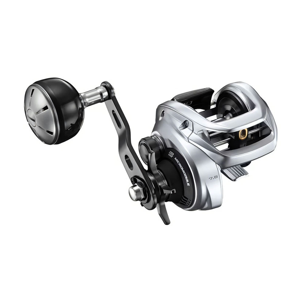 2026 SHIMANO TRANX 400 Baitcas - Daiwa Reel Bg review and price
